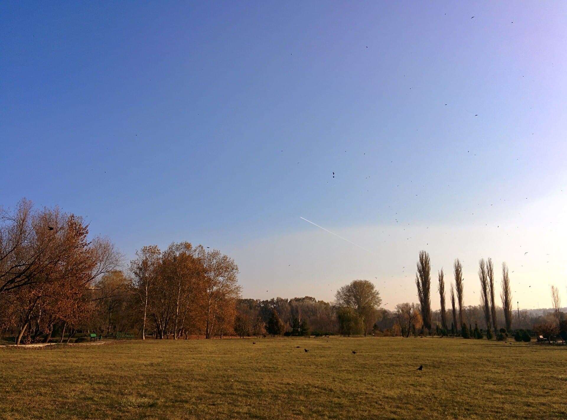 Panorama Chișinăului văzută din Grădina Dendrologică